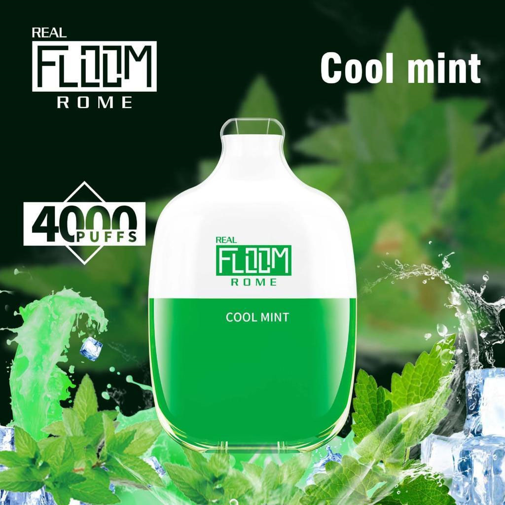 Floom Rome Disposable | 4000 Puffs | 10mL | 50mg | Cool Mint