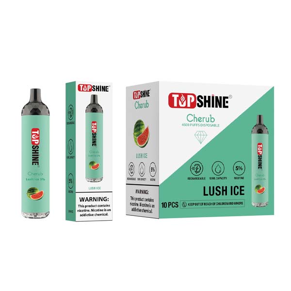 Topshine Disposable | 4500 Puffs | 10mL | Lush Ice with Packaging and Box