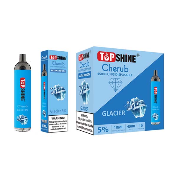 Topshine Disposable | 4500 Puffs | 10mL | Glacier with Packaging and Box