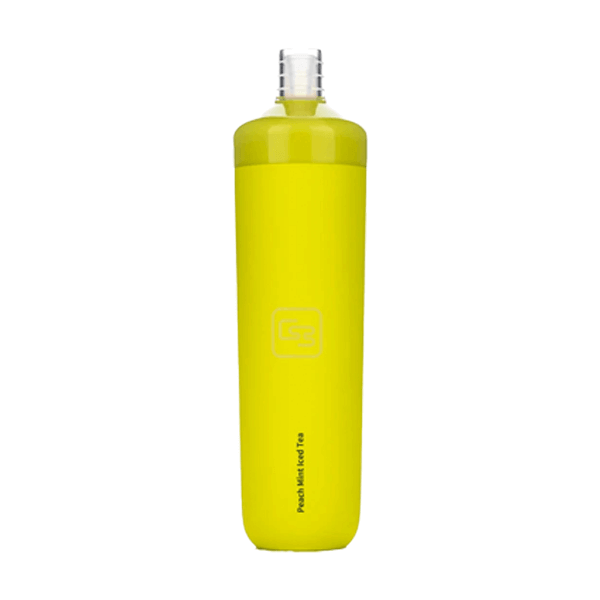 Geek Bar x6000 TF-Nic Disposable | 6000 Puffs | 14mL Peach Mint Iced Tea