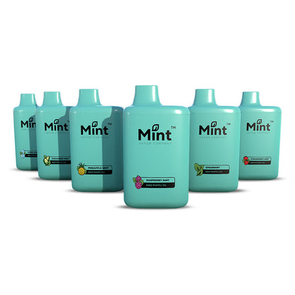 Mint Series Disposable Group Photo