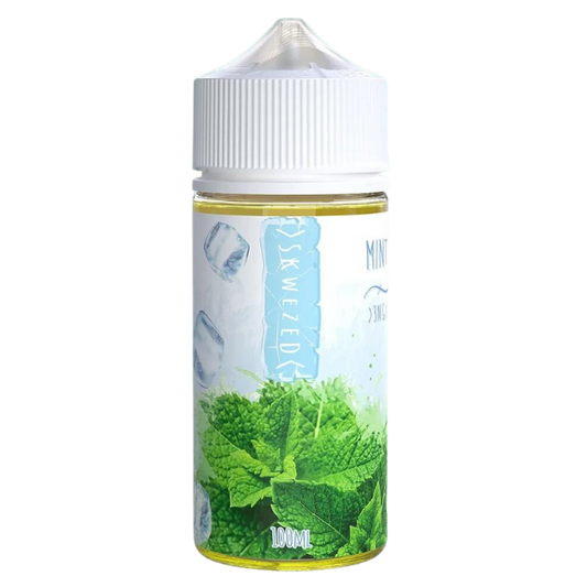 Mint Ice by Skwezed Series 100mL Bottle