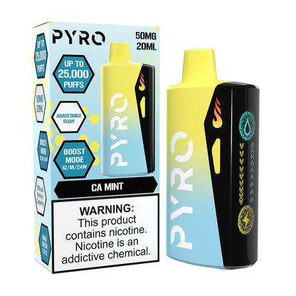 Pyro Boost | 25000 Puffs  | 20mL | 50mg - CA Mint with packaging