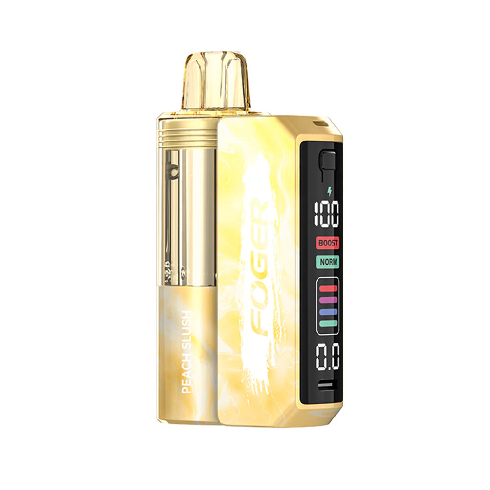 Foger Switch Pro Starter Kit - 30000 Puffs Disposable - 19mL 50mg