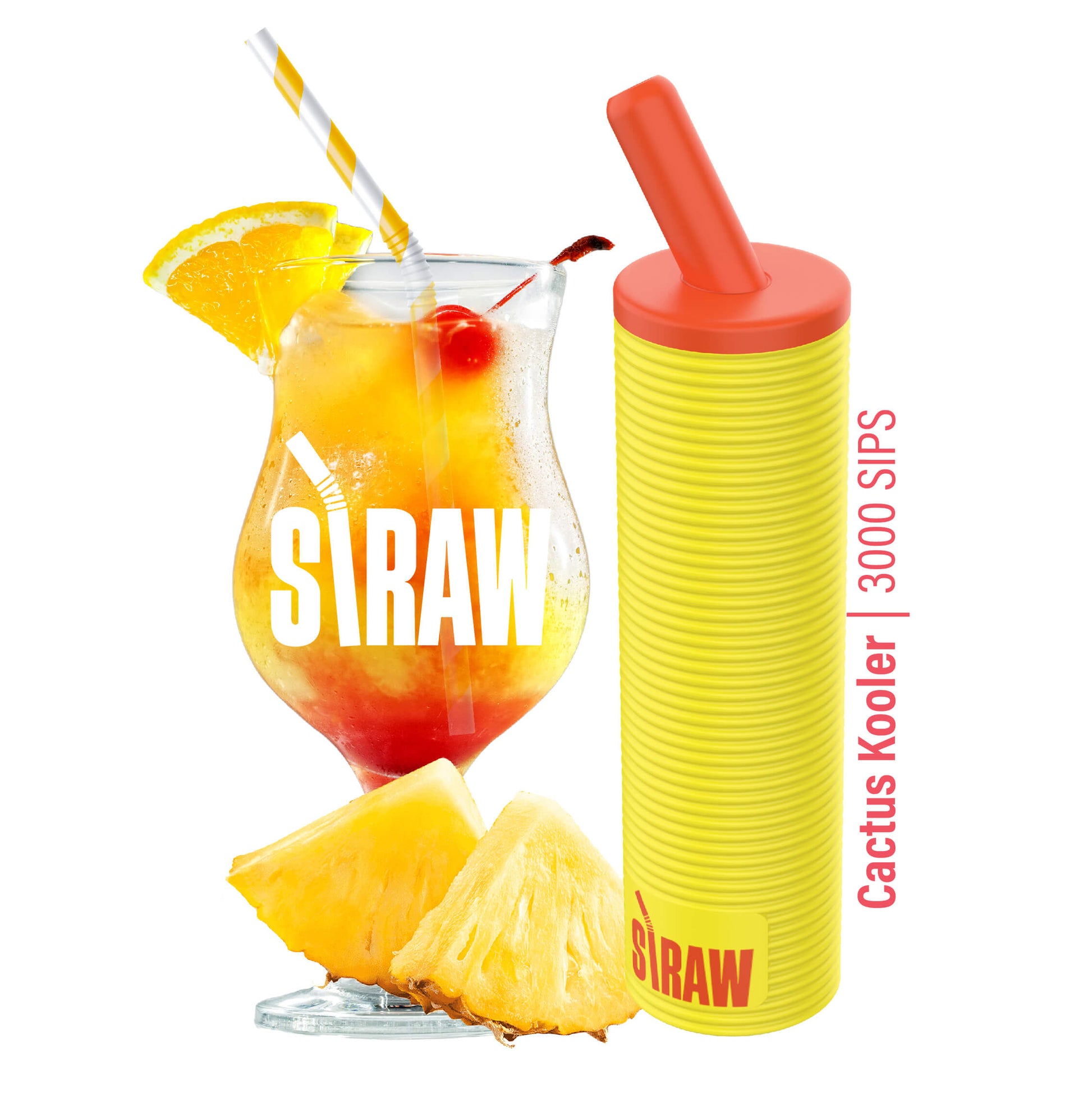 Straw Vape Disposable | 3000 Puffs | 8mL Cactus Kooler